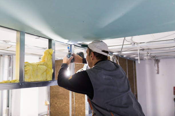 Best Eco-Friendly Insulation in Edgemere, MD