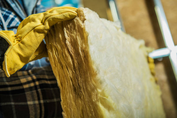 Best Cellulose Insulation in Edgemere, MD