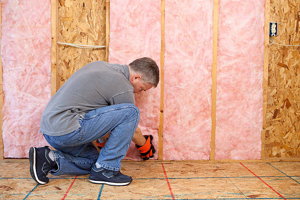Types of Insulation We Offer in Edgemere, MD